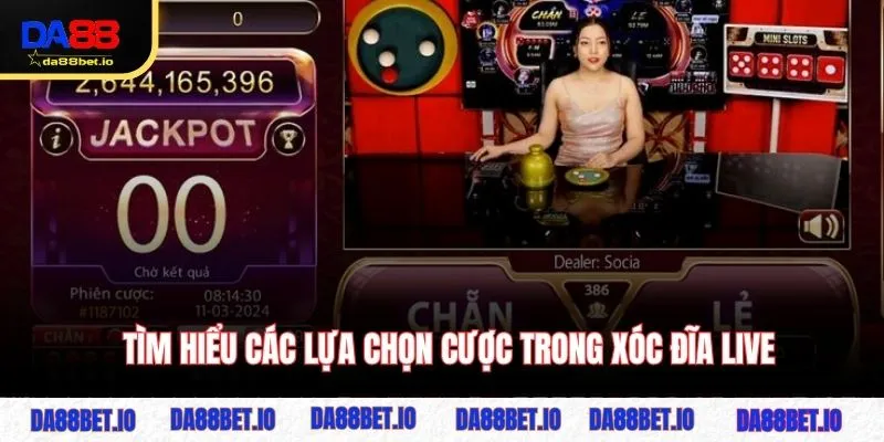 Tìm hiểu các lựa chọn cược trong xóc đĩa live